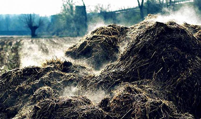 Stajsko đubrivo – Vrste, kvalitet i vrijeme primjene!