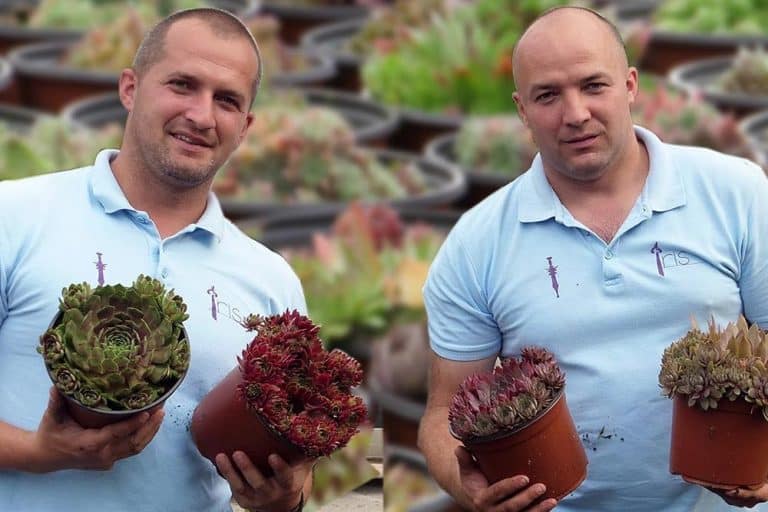Kraljevi čuvarkuće – Imaju 196 vrsta (VIDEO)