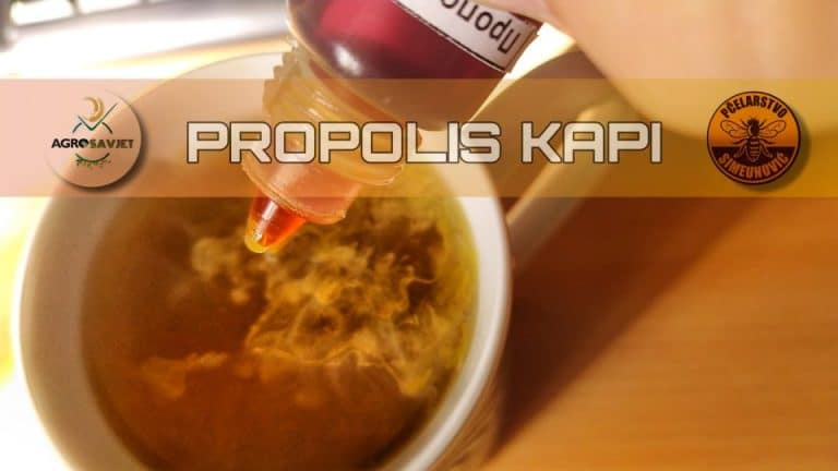 Kako se pravilno koriste PROPOLIS kapi?