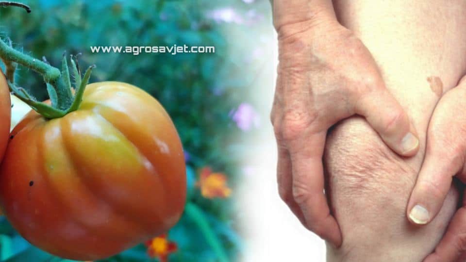 artritis i paradajz