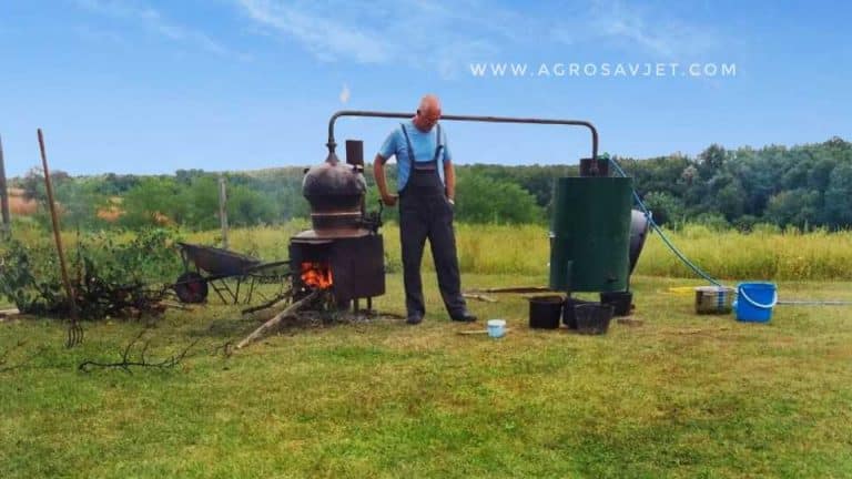 Kako izabrati vrhunski kazan za pečenje rakije?