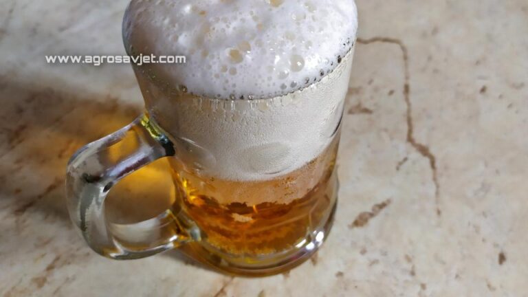 Pivo je „FABRIKA ŽELUDAČNE KISELINE“