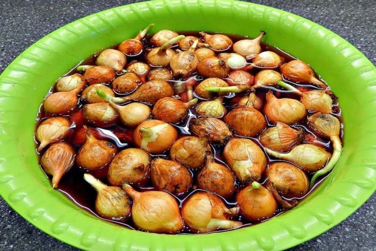 Dezinfekcija luka prije sadnje ovim rastovrom – Nema bolesti, povećava se prinos!