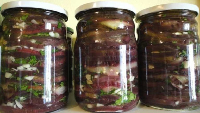 Recept za kiseli plavi patlidžan u tegli