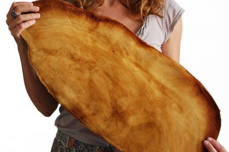Proizvedena veganska koža od gljiva
