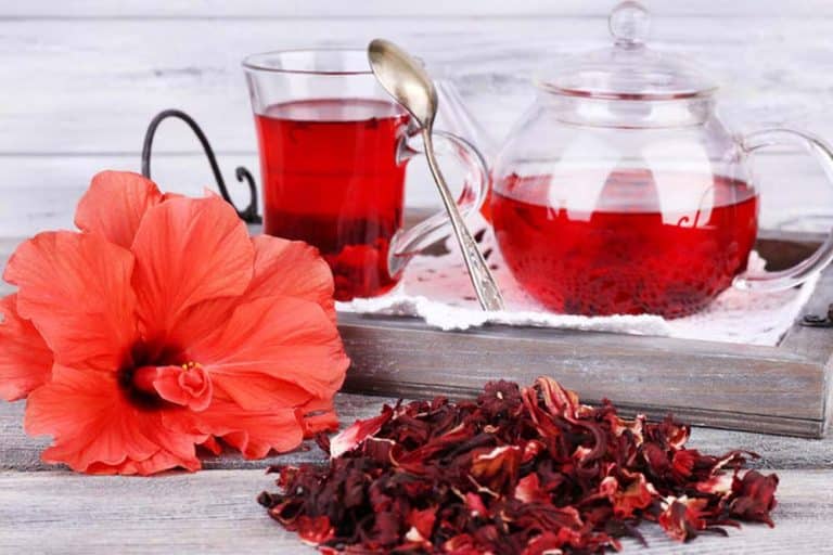 Ljekovita svojstva HIBISKUSA i recepti za ČAJ