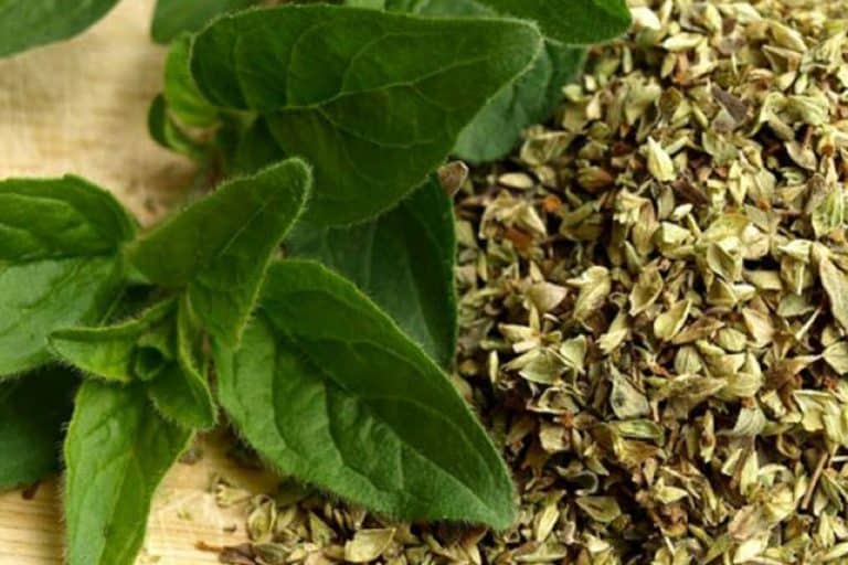 Ovo je najzdraviji čaj na svijetu: Sprječava sve od obične prehlade do kancera! (RECEPT)