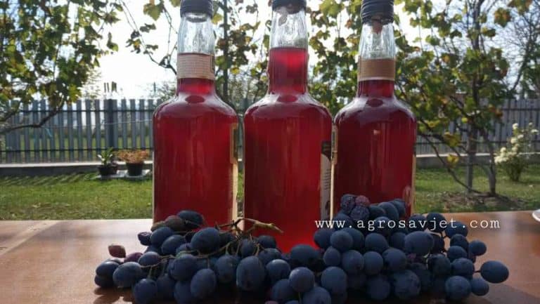Recept za DOMAĆI SIRUP I SOK OD GROŽĐA – Čaša zdravlja i mladosti!