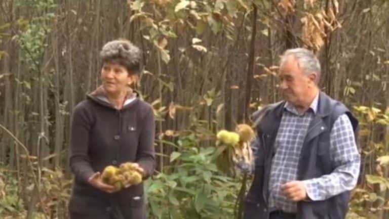 Dedu, koji je u Srbiji pokrenuo neobičan biznis, svi sumnjičavo gledaju – On tvrdi da će uspjeti