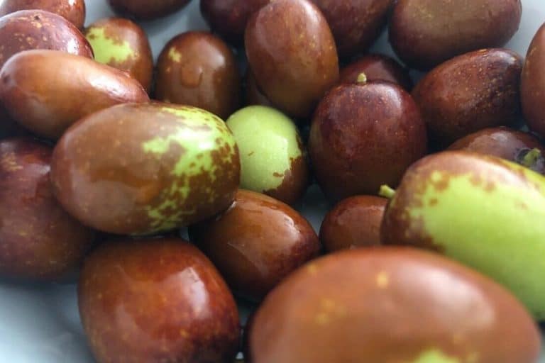 Žižula – Ljekovitost i uzgoj
