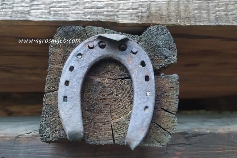 Kako je potkovica postala simbol sreće?