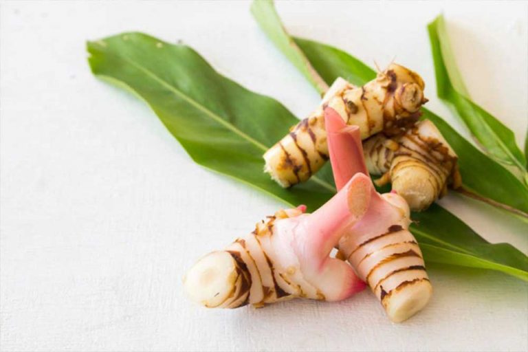 Galangal: Tajlandska zamjena za đumbir kiselkastog ukusa
