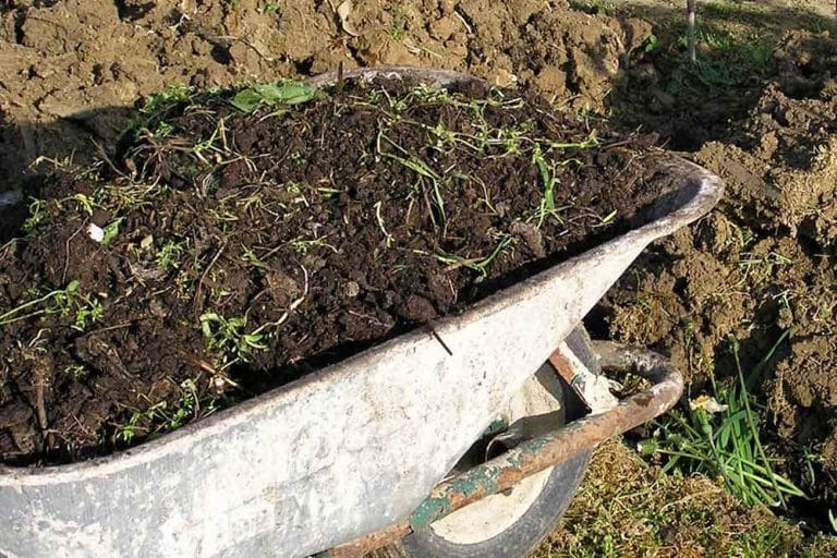 Značaj stajnjaka u poljoprivrednoj proizvodnji