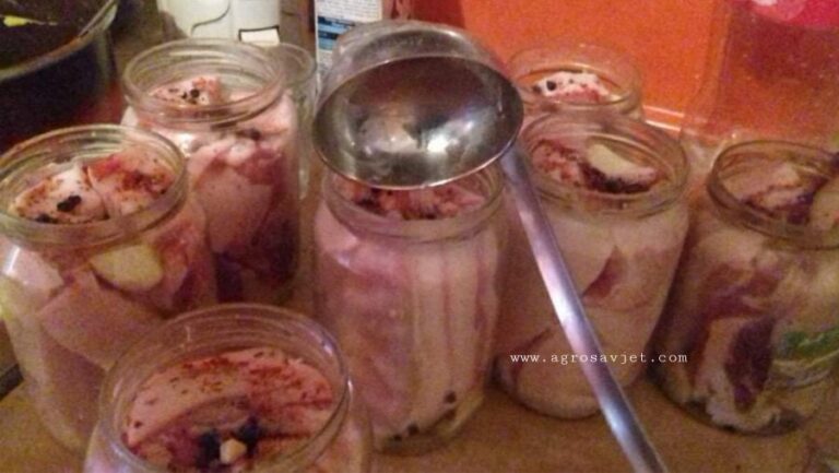 BARENA SLANINA IZ TEGLE – Da li ste probali ovaj neobičan recept?