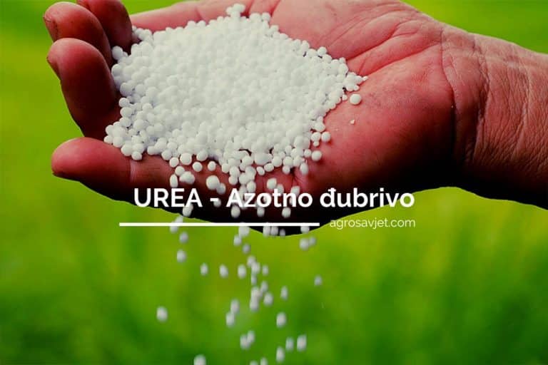 UREA – Osobine i način primjene