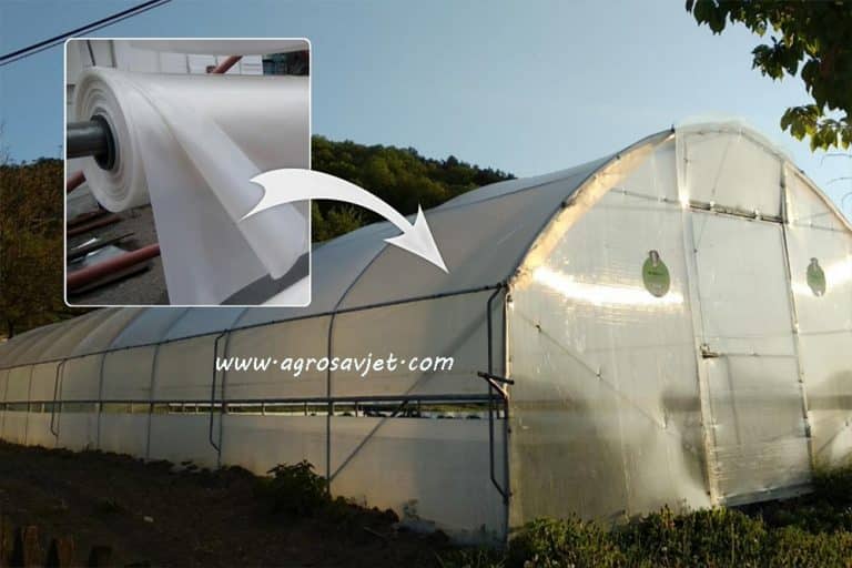Na šta obratiti PAŽNJU prilikom izbora FOLIJA za pokrivanje PLASTENIKA?