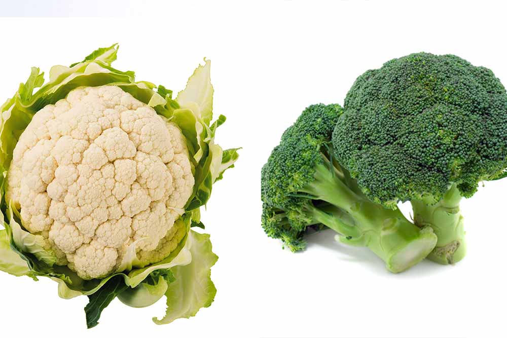 Karfiol i brokoli