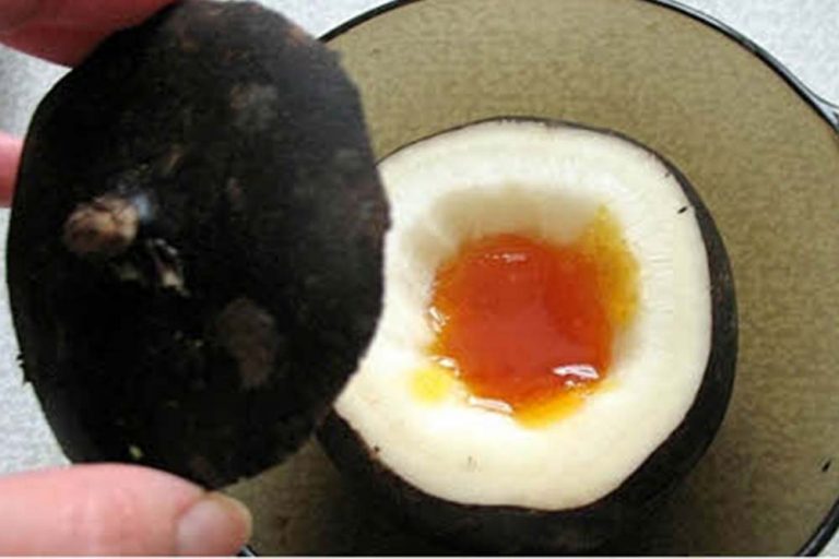 Sok od crne rotkve i meda – Sibirski narodni recept za kašalj