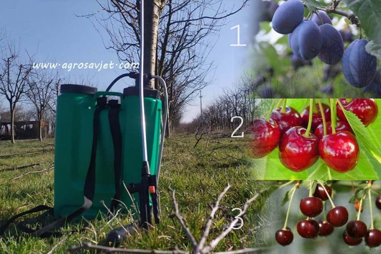 Šljiva, višnja i trešnja – Nakon BAKRA slijedi zaštita na ovaj način!