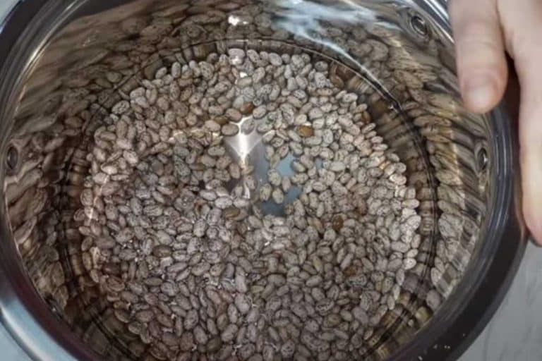 Ne bacajte prvu vodu u kojoj se kuvao pasulj – Evo za šta može da se koristi