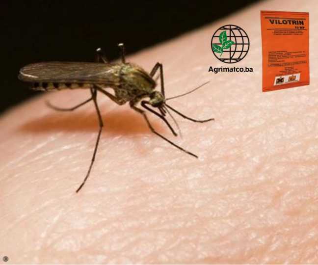 komarac