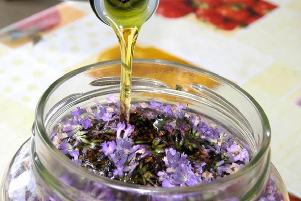 مليمتر حسن الضيافة الماركسية  Recept za ulje protiv bolova - Lavanda, kamfor i maslinovo ulje | Agrosavjet