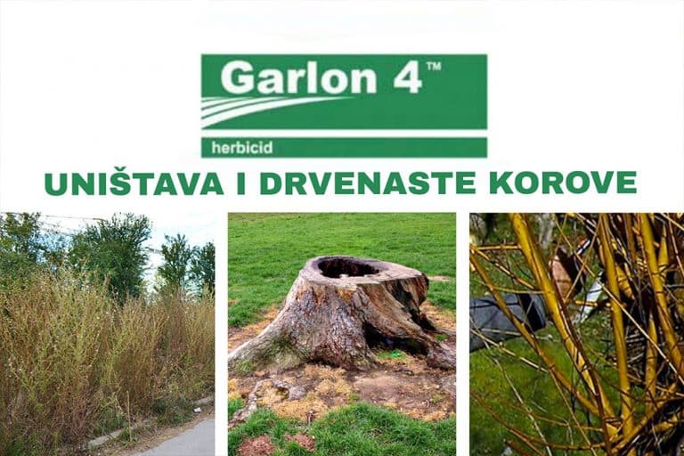 GARLON – Preparat koji uništava drvenaste i poludrvenaste KOROVE