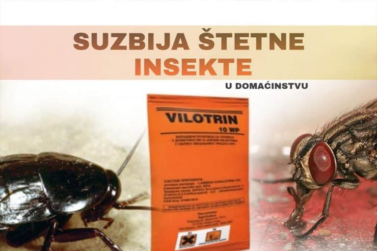 VILOTRIN – Insekticid odličan za suzbijanje bubašvaba, muva, mrava…