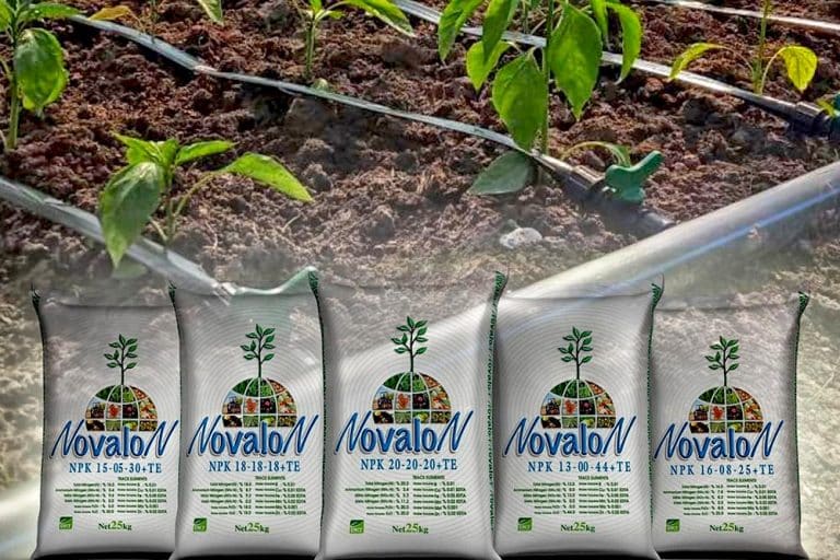 NOVALON – Vodorastvorljiva NPK đubriva za potpunu prihranu biljaka