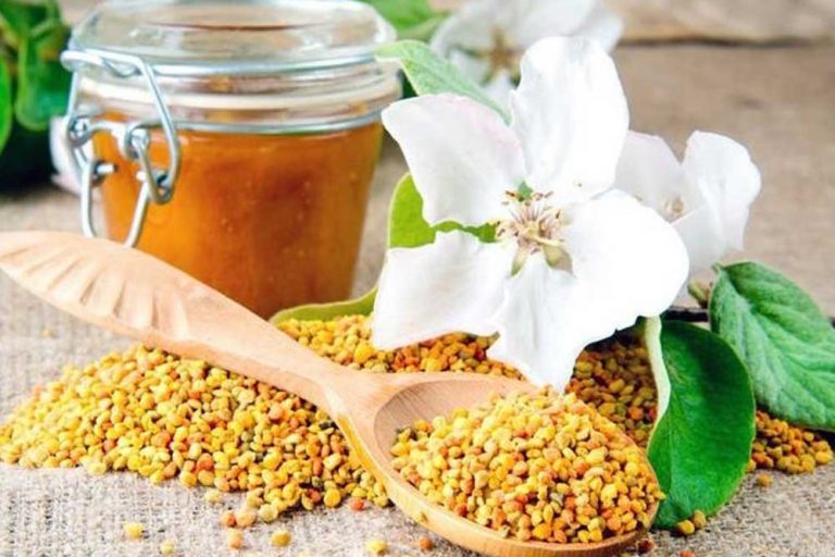 Recept za IMUNO MED – Napravite sami bombu za imunitet