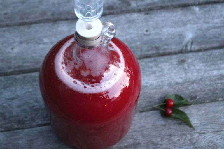 Dezertno vino od višanja