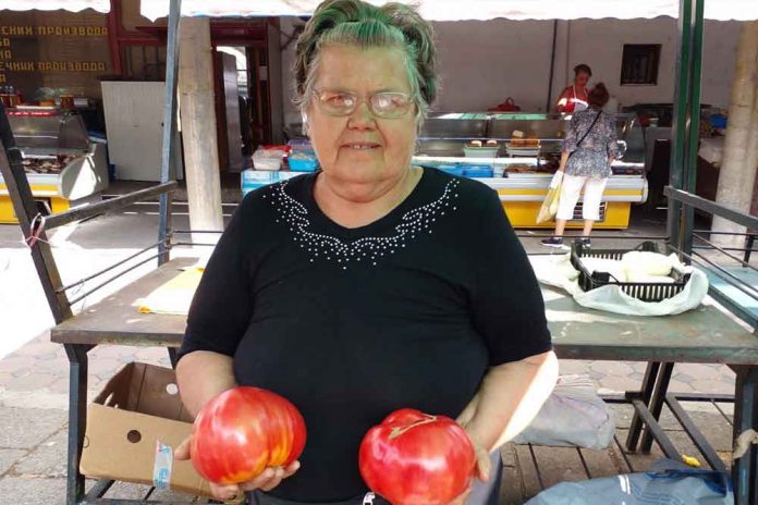 baka drži paradajz