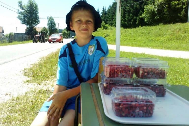 Jovanče sa Manjače NE ODUSTAJE – Vrijedni dječak od ranog jutra putnicima prodaje maline