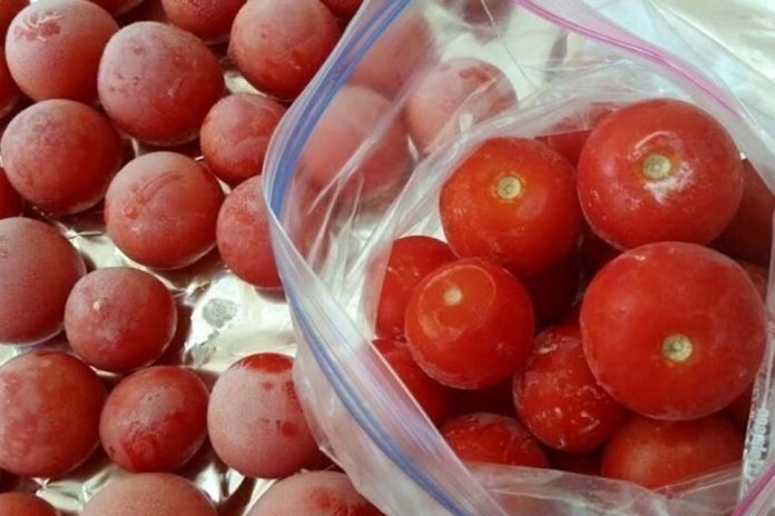 zamrznuti paradajz