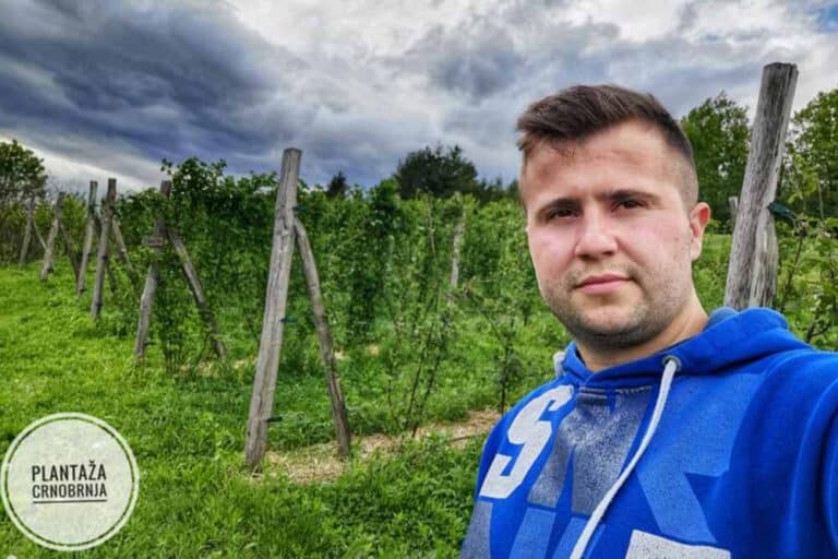 Miroslavljevi kupinjaci – Šta je sve smislio mladi inženjer poljoprivrede