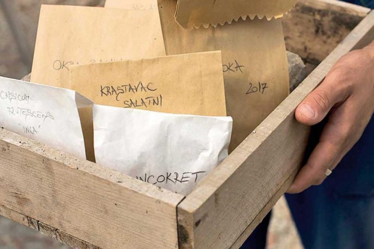 Vrijeme je za skupljanje sjemena – Kako biste na proljeće imali šta posaditi slijedite ove korake