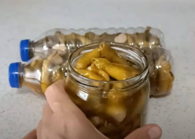NE OSTAVLJAJTE IH VIŠE U TEGLI – Ljute papričice iz flaše, nikad jednostavniji recept