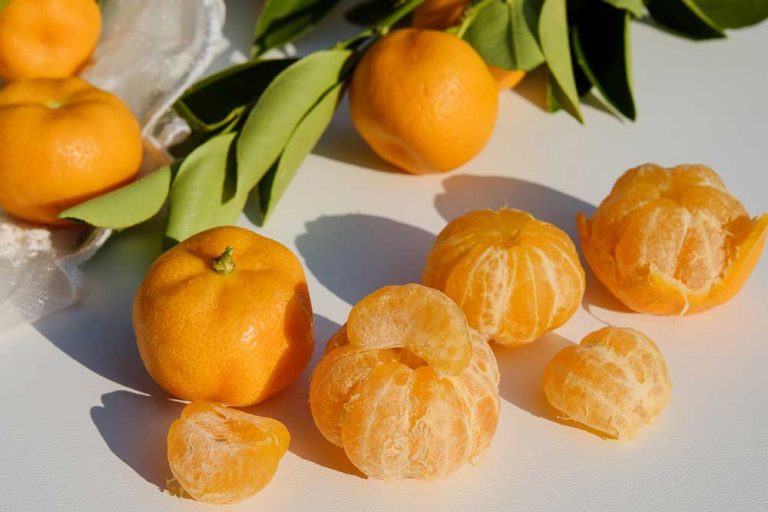 Evo zašto je važno da jedete bijela vlakna ispod kore mandarine