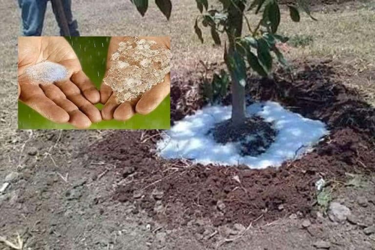 Voda u prahu – Izum koji bi se mogao boriti protiv suše širom planete!