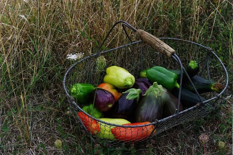 Kako da sačuvate voće i povrće od truljenja
