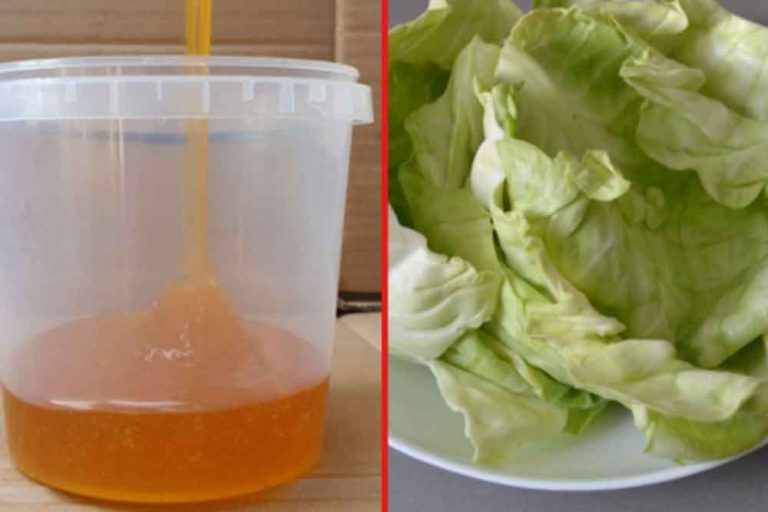 Tradicionalni recept – Oblog koji su nam BAKE PRIVIJALE na grudi sa kupusom i medom za kašalj i bronhitis