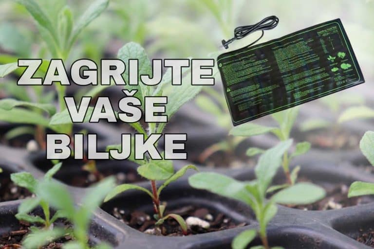 Odličan proizvod koji će spriječiti izmrzavanje mladih biljčica na početku sezone!
