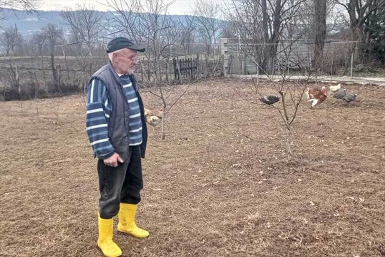 Psi lutalice poklali živinu