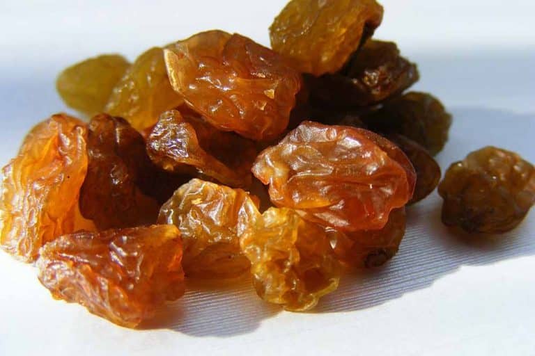 SIRUP OD SUVOG VOĆA: Pravi eliksir zdravlja u jednoj kašičici! /RECEPT/