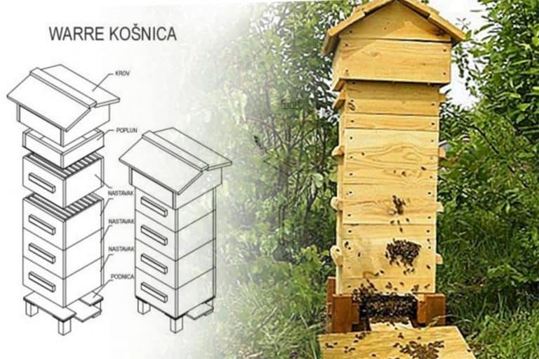 Warreova košnica – Troši manje energije i resursa od uobičajene košnice