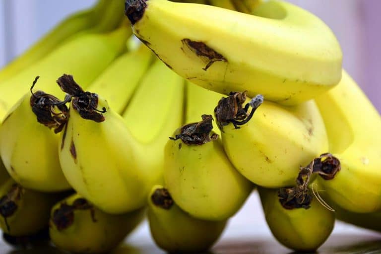 Banane u frižideru – dobra ili loša ideja