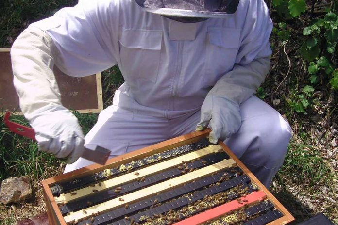 pregled pčelinjaka