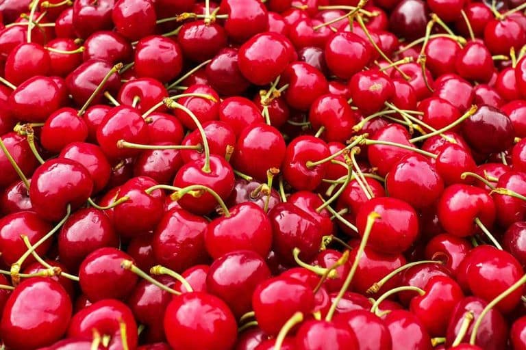 Trešnje i zdravlje – 5 razloga zašto ih treba jesti