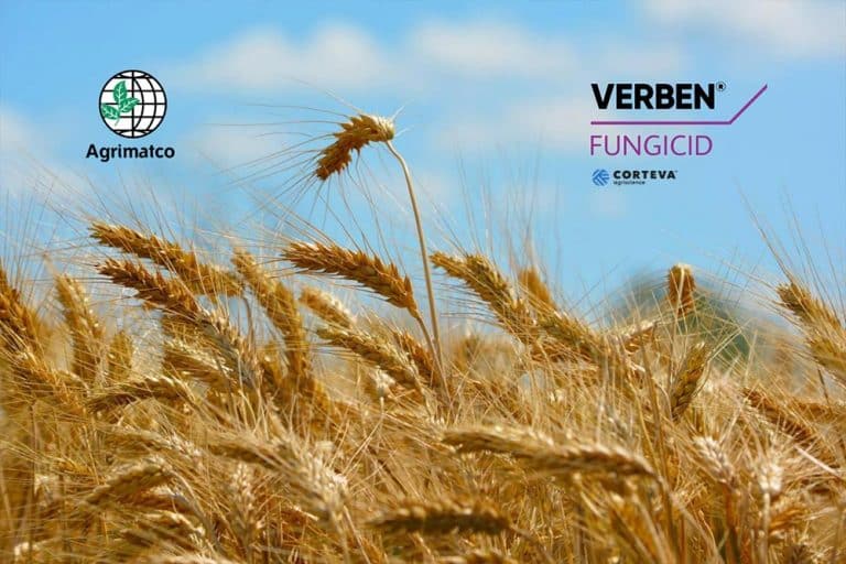 VERBEN – Novi fungicid za zaštitu žitarica od bolesti