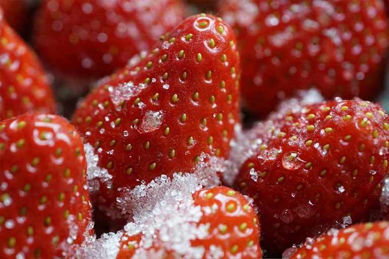 Kompot od svježih jagoda – recept i priprema